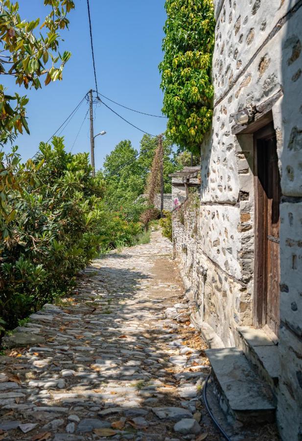 Pelion House With Stunning View To Relax Villa Vizítsa Buitenkant foto