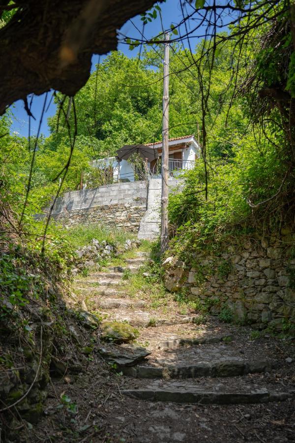 Pelion House With Stunning View To Relax Villa Vizítsa Buitenkant foto